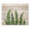 Designart - Fern Leaves Detail II - Farmhouse Print on Natural Pine Wood